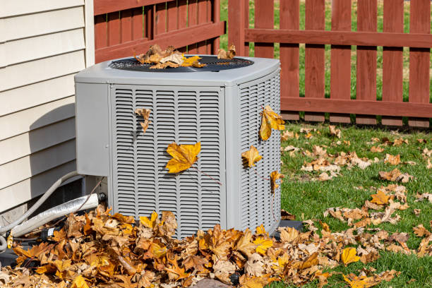 Best Ductless HVAC Repair  in Morris, MN